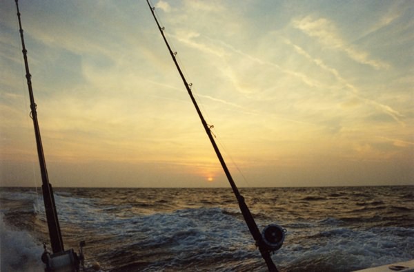 Gulf of mexico fishing spots